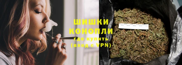 индика Верея
