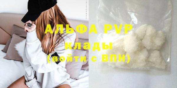 индика Верея
