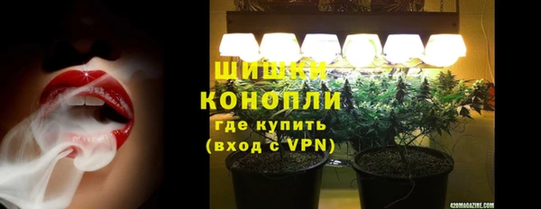индика Верея