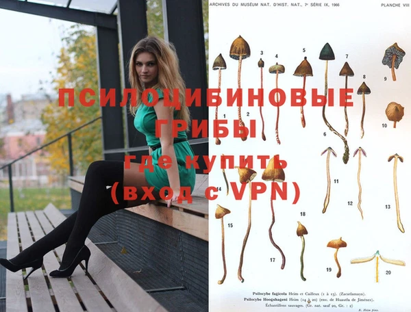 индика Верея
