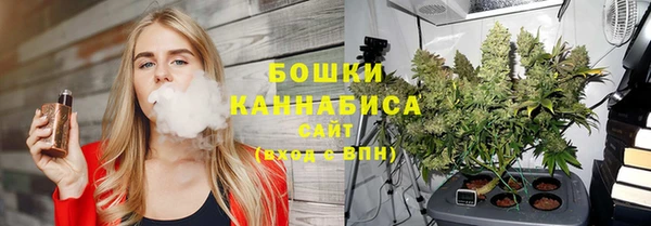 дмт Бронницы