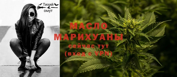 индика Верея