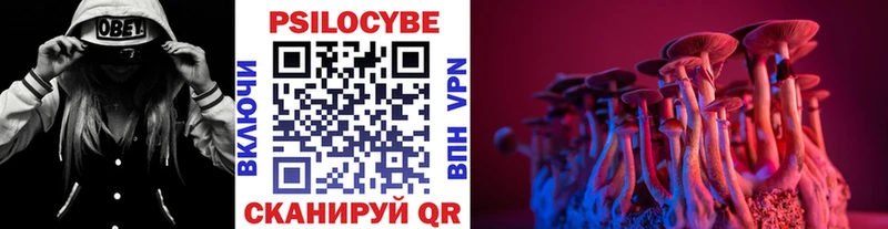 Псилоцибиновые грибы Cubensis  Минеральные Воды 